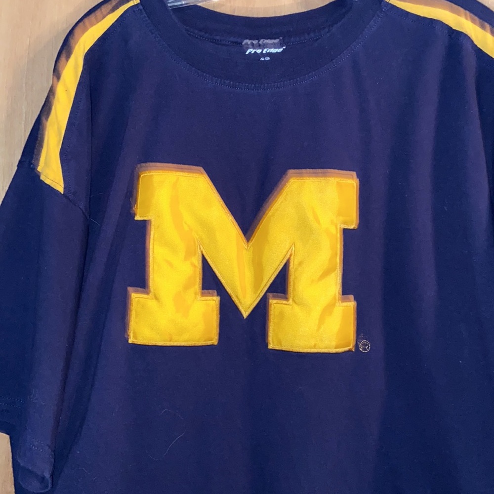 Go Michigan!! - Picture 2 of 8